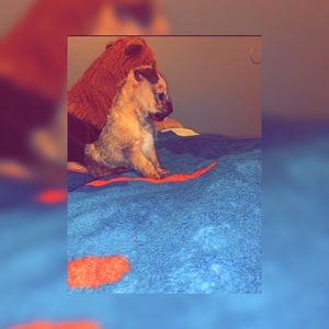 Meet your Posher, Ariel